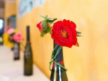 酒店 San Domenico 帕尔盖利亚