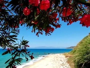 Szálloda San Domenico